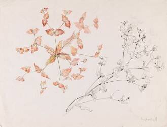 Euphorbe (Emile Gallé) - Muzeo.com