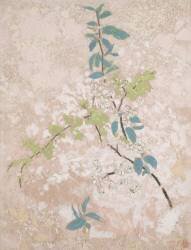 Fleurs de poirier (Odilon Redon) - Muzeo.com