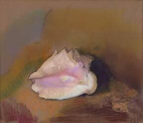 La Coquille : en bas à droite, petit coquillage, dans l'ombre (Odilon Redon) - Muzeo.com
