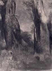 Les arbres (Odilon Redon) - Muzeo.com