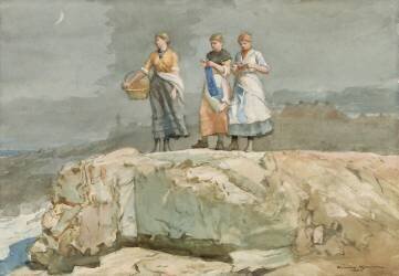 Les Falaises (Winslow Homer) - Muzeo.com