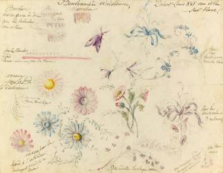 Modèle de décor Louis XVI pour bonbonnières en faïence vénitienne (Emile Gallé) - Muzeo.com