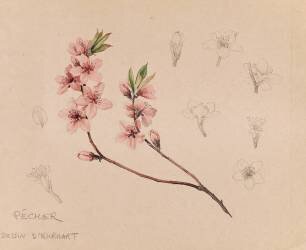 Pêcher (Emile Gallé) - Muzeo.com