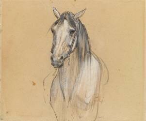 Tête de cheval (Eugène Fromentin) - Muzeo.com