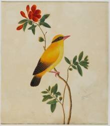 Oiseau (anonyme) - Muzeo.com