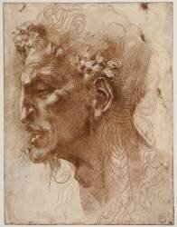 Tête de Satyre (Michel-Ange) - Muzeo.com
