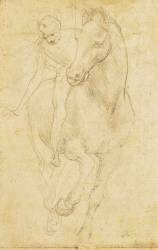 Cheval et cavalier (Léonard de Vinci) - Muzeo.com