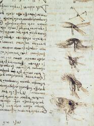 Diagrammes scientifiques (Léonard de Vinci) - Muzeo.com