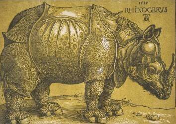 Le Rhinocéros (Albrecht Dürer) - Muzeo.com