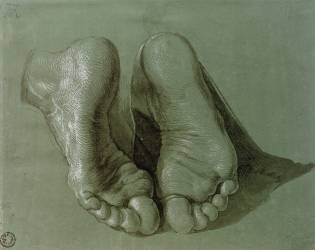 Pieds d'un apôtre agenouillé (Albrecht Dürer) - Muzeo.com