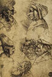 Sept têtes grotesques (Léonard de Vinci) - Muzeo.com