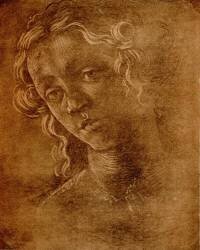 Tête de femme (Sandro Botticelli) - Muzeo.com