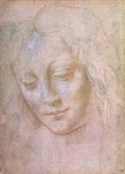 Tête de femme (Léonard de Vinci (école de)) - Muzeo.com
