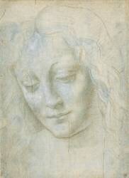 Tête de femme (Léonard de Vinci) - Muzeo.com