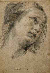 Tête d'une Femme regardant vers le haut droit (Guido Reni) - Muzeo.com