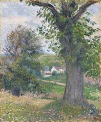 Châtaigniers à Osny (Camille Pissarro) - Muzeo.com