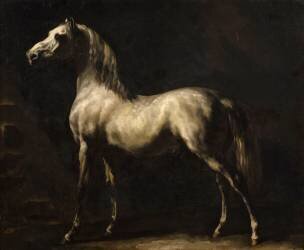 Cheval gris (Théodore Géricault) - Muzeo.com