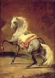 Cheval gris pommelé (Théodore Géricault) - Muzeo.com