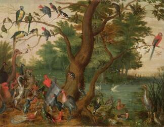 Concert d'oiseaux (Jan van Kessel) - Muzeo.com