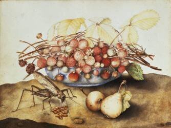 Coupe de fraises (Giovanna Garzoni) - Muzeo.com