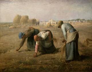 Des glaneuses (Jean-François Millet) - Muzeo.com