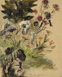 Etudes de fleurs (Eugène Delacroix) - Muzeo.com