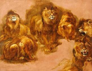 Etudes de lions (Pieter Boel) - Muzeo.com