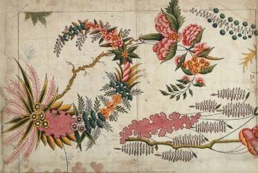 Indian model (Ecole Française) - Muzeo.com