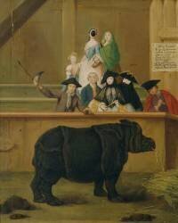 Le Rhinocéros (Pietro Longhi) - Muzeo.com