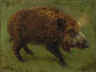 Le sanglier (Rosa Bonheur) - Muzeo.com