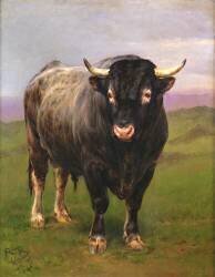 Le taureau noir (Rosa Bonheur) - Muzeo.com