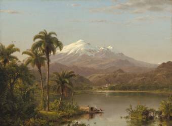 Les palmiers Tamaca (Frederic Edwin Church) - Muzeo.com