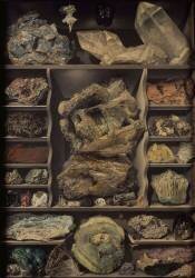 Minéraux cristallisés (Alexandre-Isidore Leroy de...) - Muzeo.com