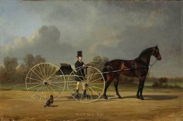 Mountain boy (anonyme) - Muzeo.com