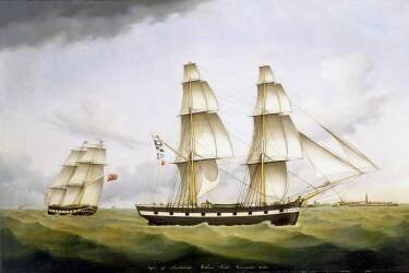 Niger de Sunderland (B. H. Hansen) - Muzeo.com