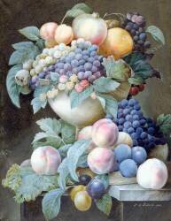 Raisins dans une coupe (Pierre Joseph Redouté) - Muzeo.com