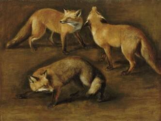 Renards (Pieter Boel) - Muzeo.com