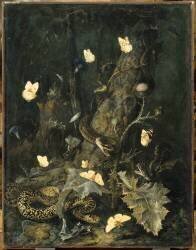 Serpents et papillons (Otto Marseus van Schrieck) - Muzeo.com