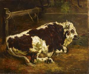 Taureau couché (Constant Troyon) - Muzeo.com