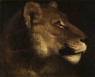 Tête de lionne (Théodore Géricault) - Muzeo.com