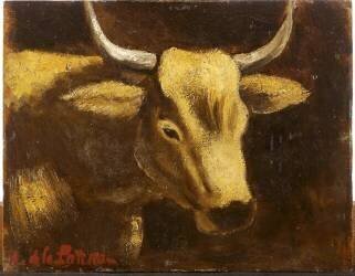 Tête de vache (Amédée de La Patellière) - Muzeo.com