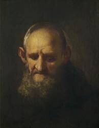 Tête d'un capucin (Richard Wilson) - Muzeo.com