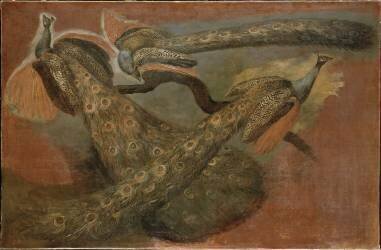 Trois paons (Pieter Boel) - Muzeo.com