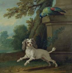 Zaza (Jean-Baptiste Oudry) - Muzeo.com