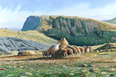 Alimentation des moutons (Trevor Neal) - Muzeo.com