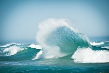 Effervescent (Robert Steinkopff) - Muzeo.com