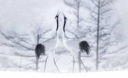 En amour (Larry Deng) - Muzeo.com