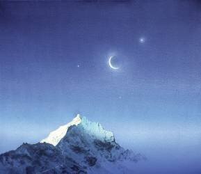 Paix (Simon Cook) - Muzeo.com