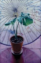 Parapluie chinois (Simon Cook) - Muzeo.com