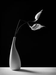 Passionnément (Kristina Oveckova) - Muzeo.com